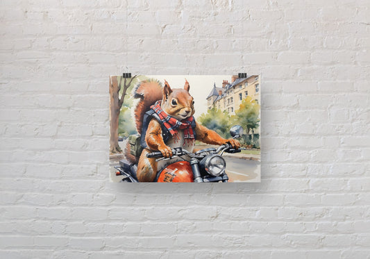 Born to be Wild Squirrel A3 Wall Art print