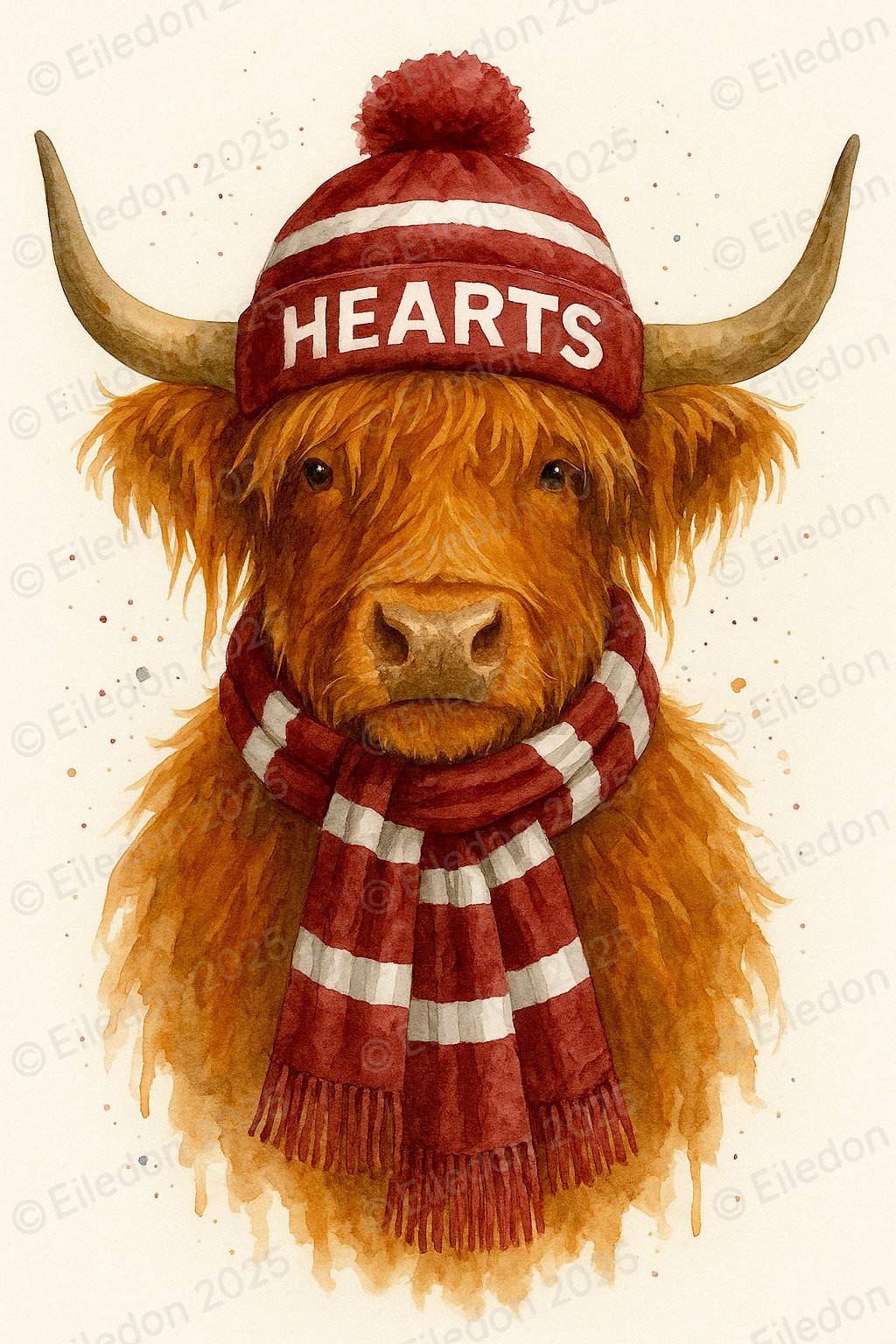 Highland Cow Wall Art Print – Hearts Framed Scottish Football Gift