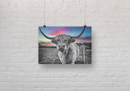 Dramatic Red Sky Highland Cow A3 Wall Art print