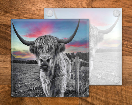 Highland Cow Glass Coaster, Drinks Holder, Colourful Coo's, Scotland, Scottish Gift, Highland Cow Gift