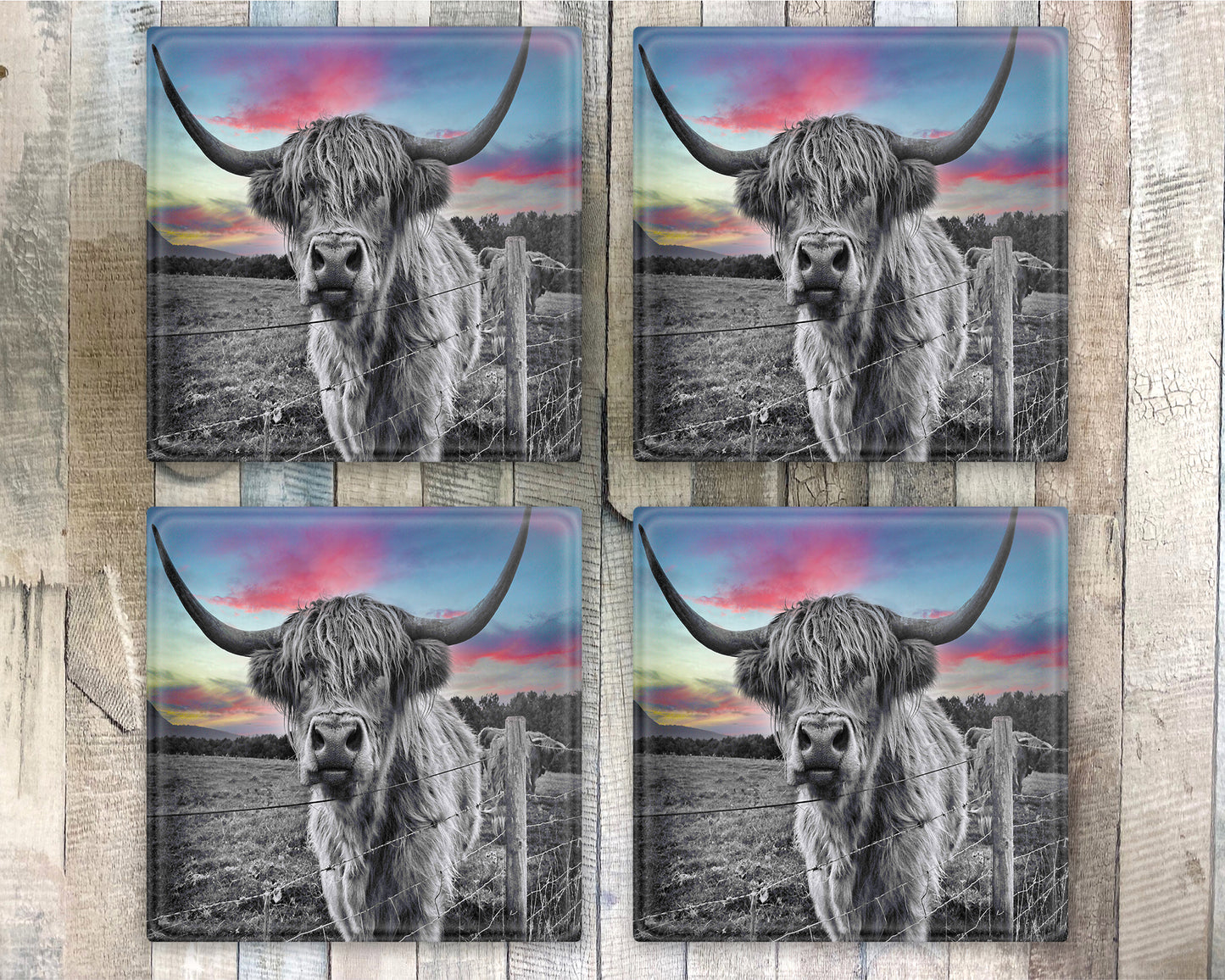 Highland Cow Glass Coaster, Drinks Holder, Colourful Coo's, Scotland, Scottish Gift, Highland Cow Gift