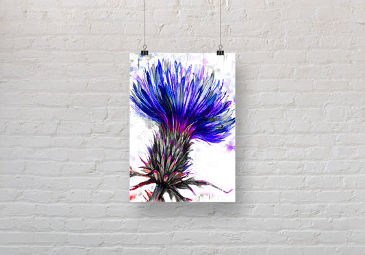 Big Thistle Colour Monochrome A3 Wall Art print