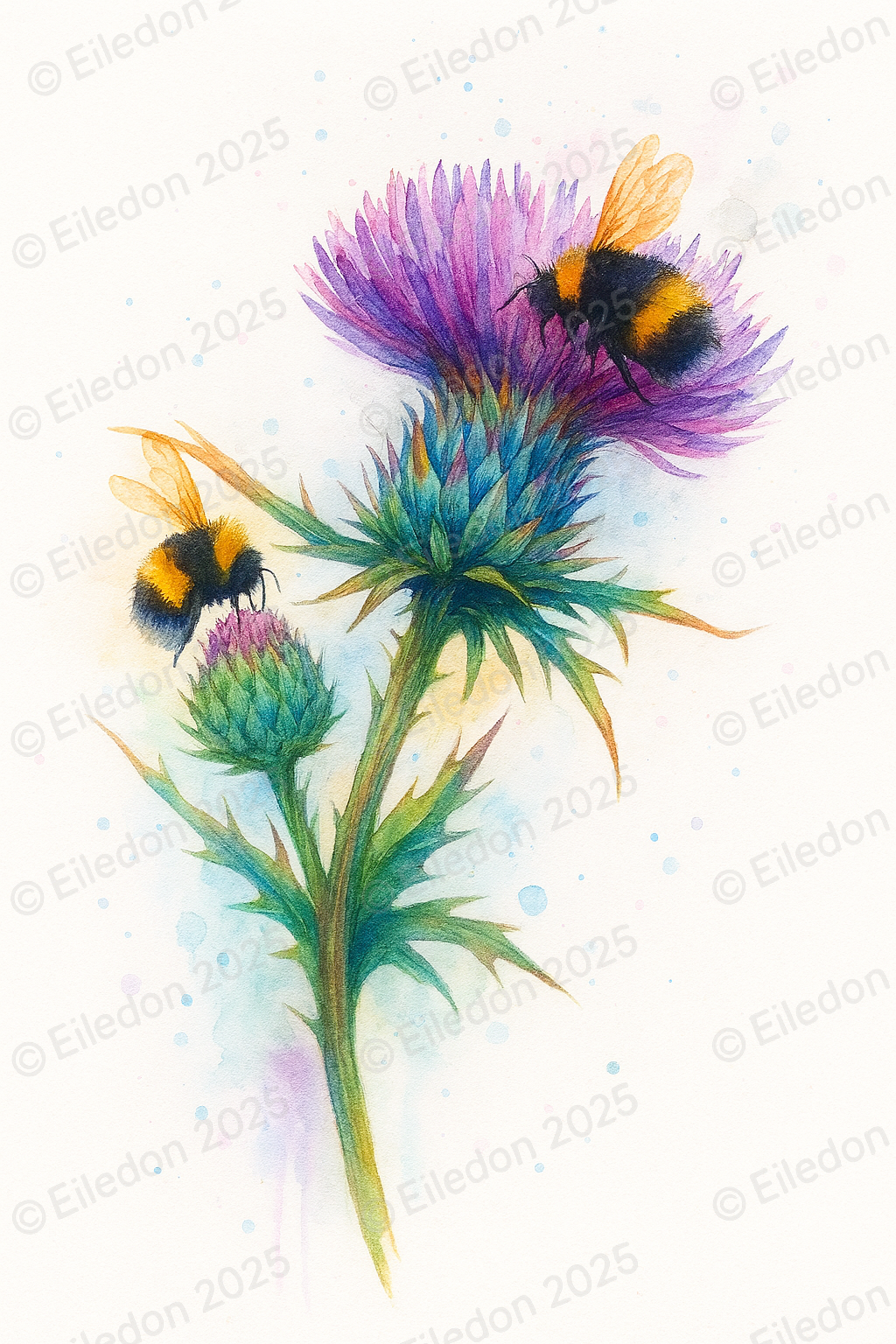 Thistle Bee  A3 Wall Art print