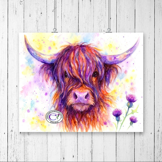 Highland Cow & Thistles Watercolor Wall Art Print – Vibrant Scottish Farmhouse Décor