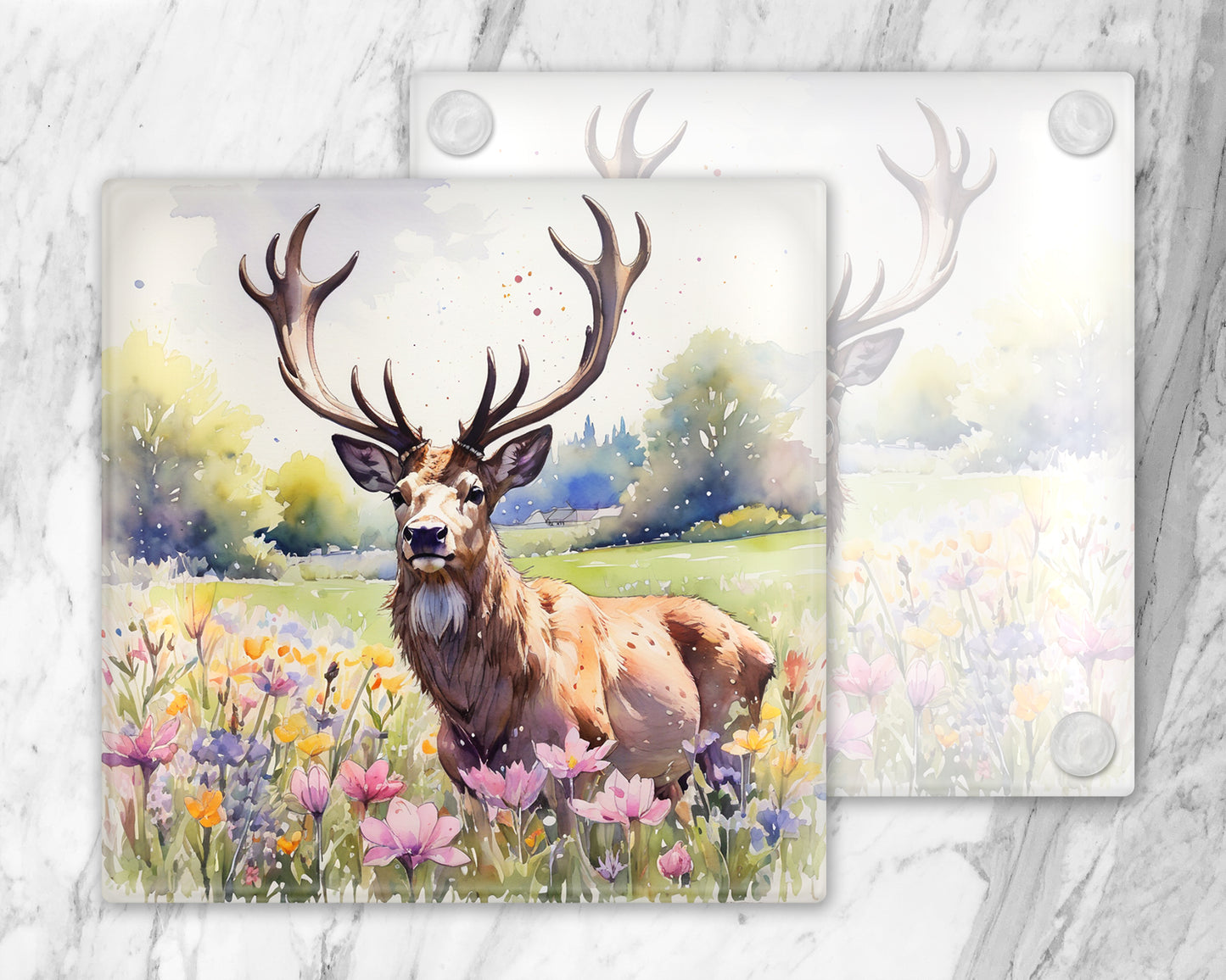 Scottish Wild Life Wild Flowers Glass Coasters