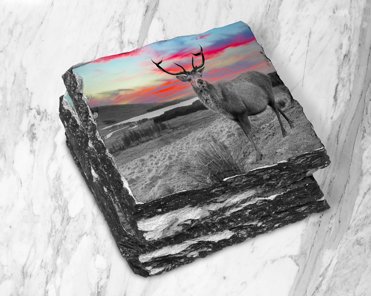 Dramatic Red Sky Stag Slate Coaster