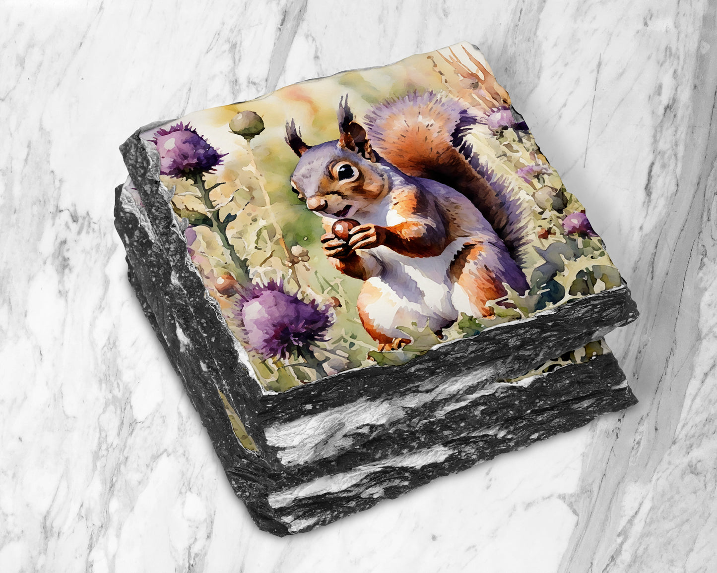 Scottish Wildlife Thistle Slate Coasters