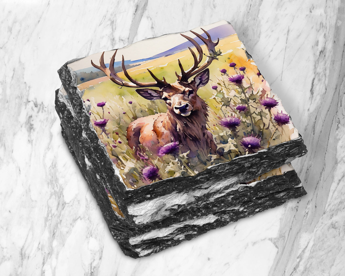 Scottish Wildlife Thistle Slate Coasters