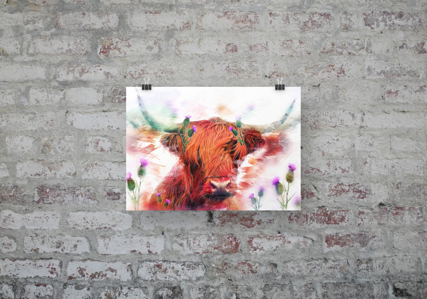 Highland Cow and Thistles  A3 Wall Art print